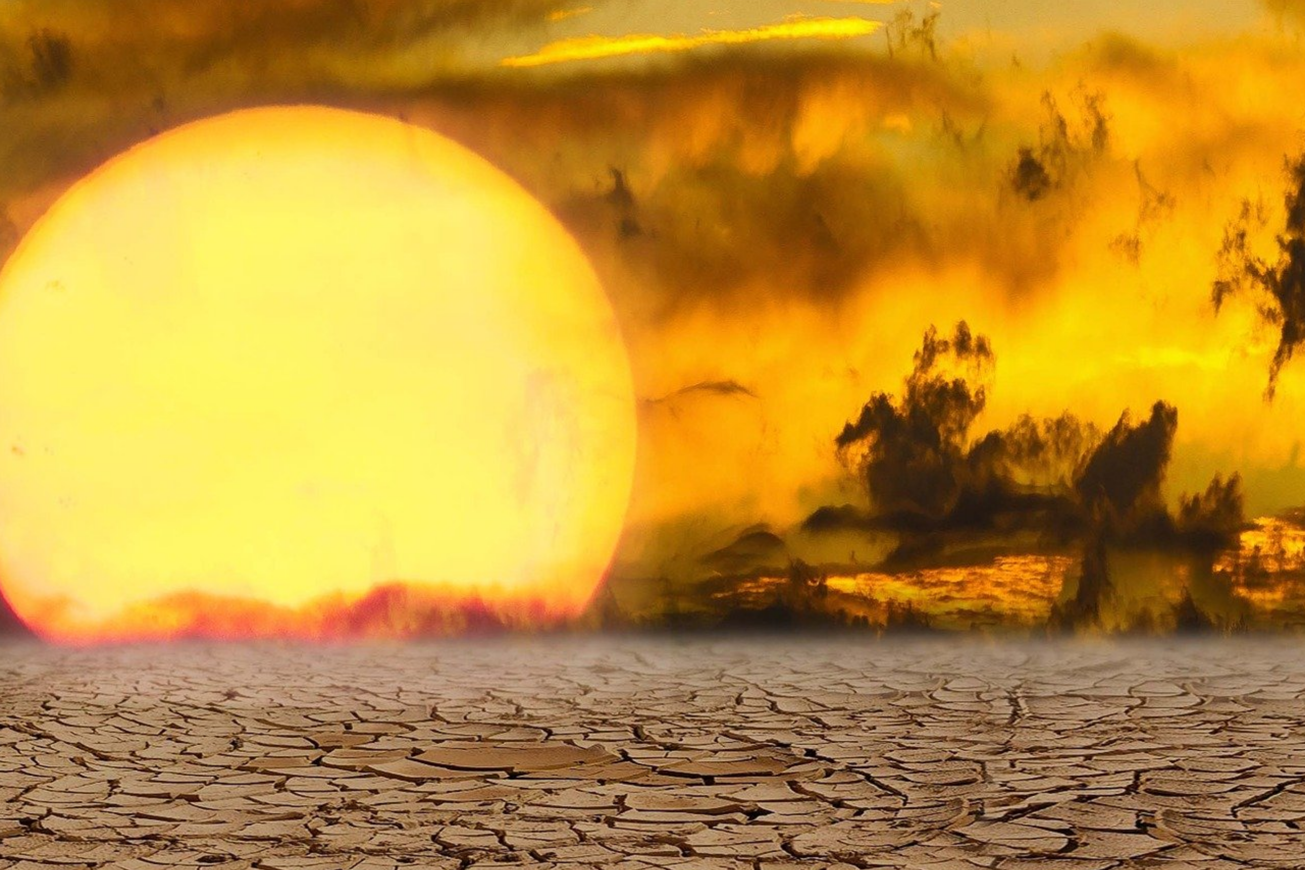 Passive investing losses from climate change