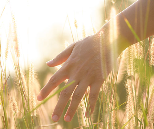 Agricultural Property Relief and Business Property Relief are the backbone of succession planning for farmers and small business owners.
