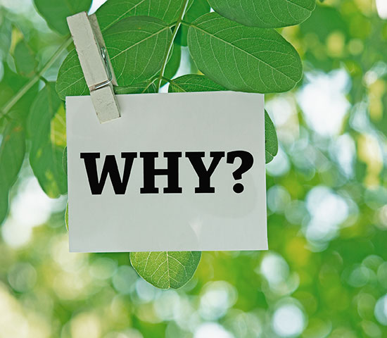 A Lasting Power of Attorney and a Will are essential legal safeguards to ensure you are in control of your financial future.