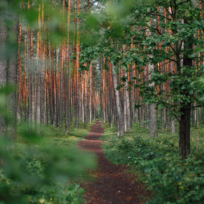 Why is sustainable investing important? Speak to our advisers at Worldwide Financial Planning